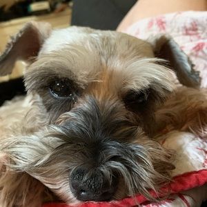 Meet your Posher, Penny layne